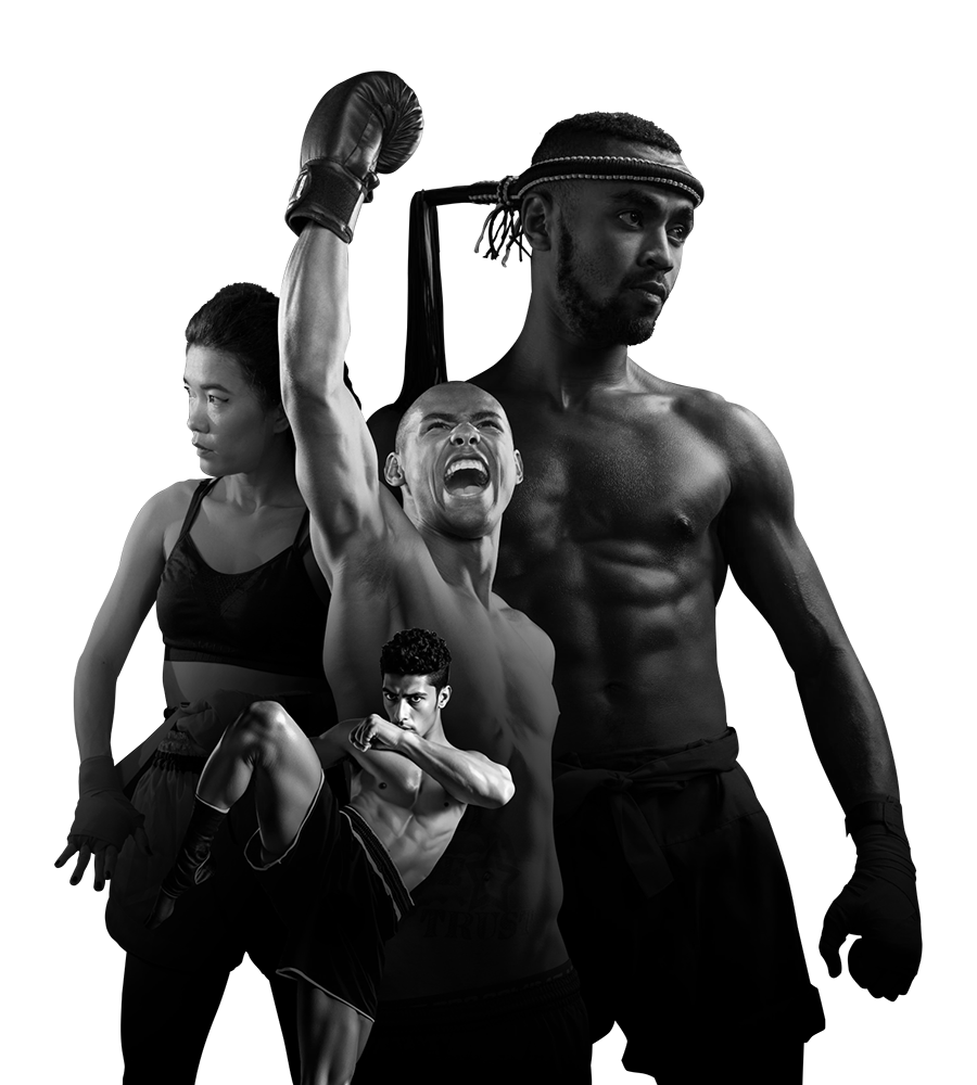 groupBoxer1