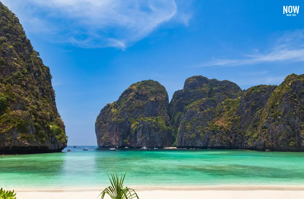 Stunning view of Maya Bay, the legendary beach on Koh Phi Phi Leh where The Beach starring Leonardo DiCaprio was filmed, featuring clear turquoise water and soft white sand.