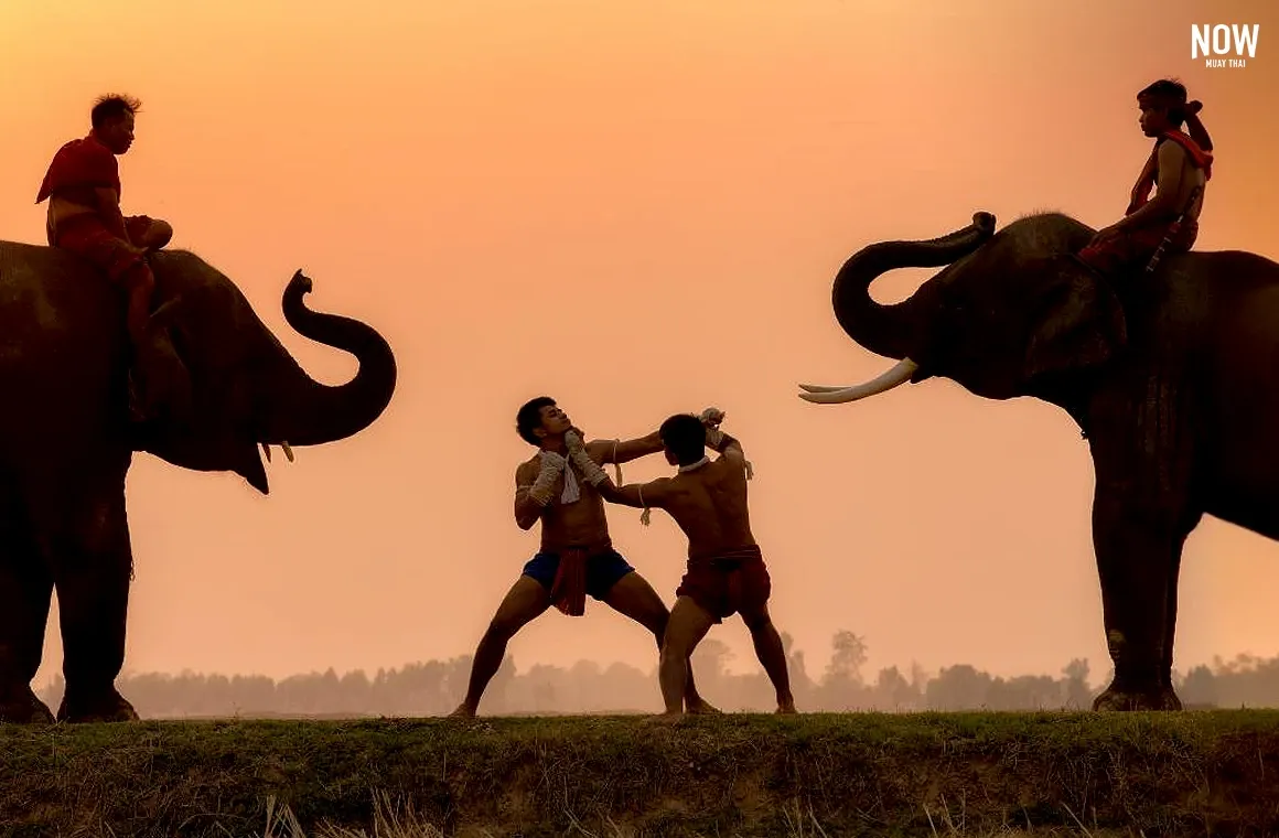 Muay Thai portrayed as a traditional Thai martial art deeply connected to Thai culture and spirit, evolving from ancient battlefield combat to modern sport and cultural heritage