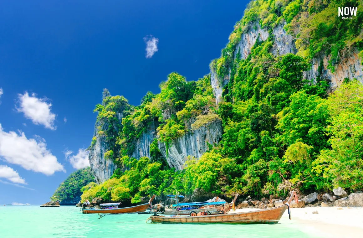 Scenic view of Monkey Bay on Koh Phi Phi with longtail boats anchored by the shore, a popular island-hopping destination easily accessible from Phuket